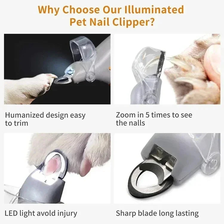 Pet Nail Clipper Scissors With LED Light Cat Dog Nail Clippers Tool Scissors Nail Toeclaw Cutter Scissors